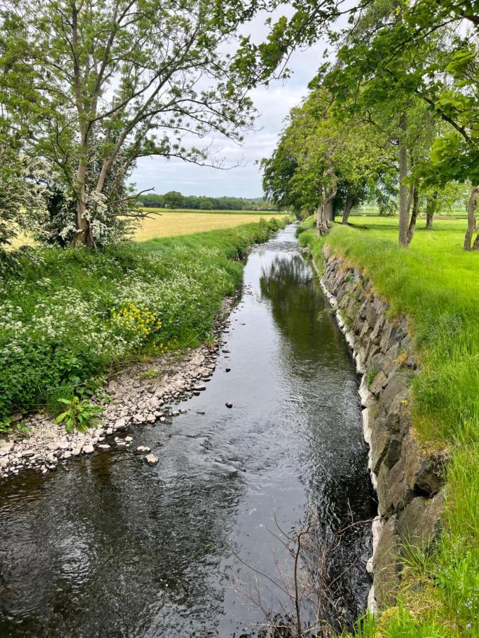Luxury Croft Templepatrick Near Airport Rabbit And Hilton Hotel Extérieur photo