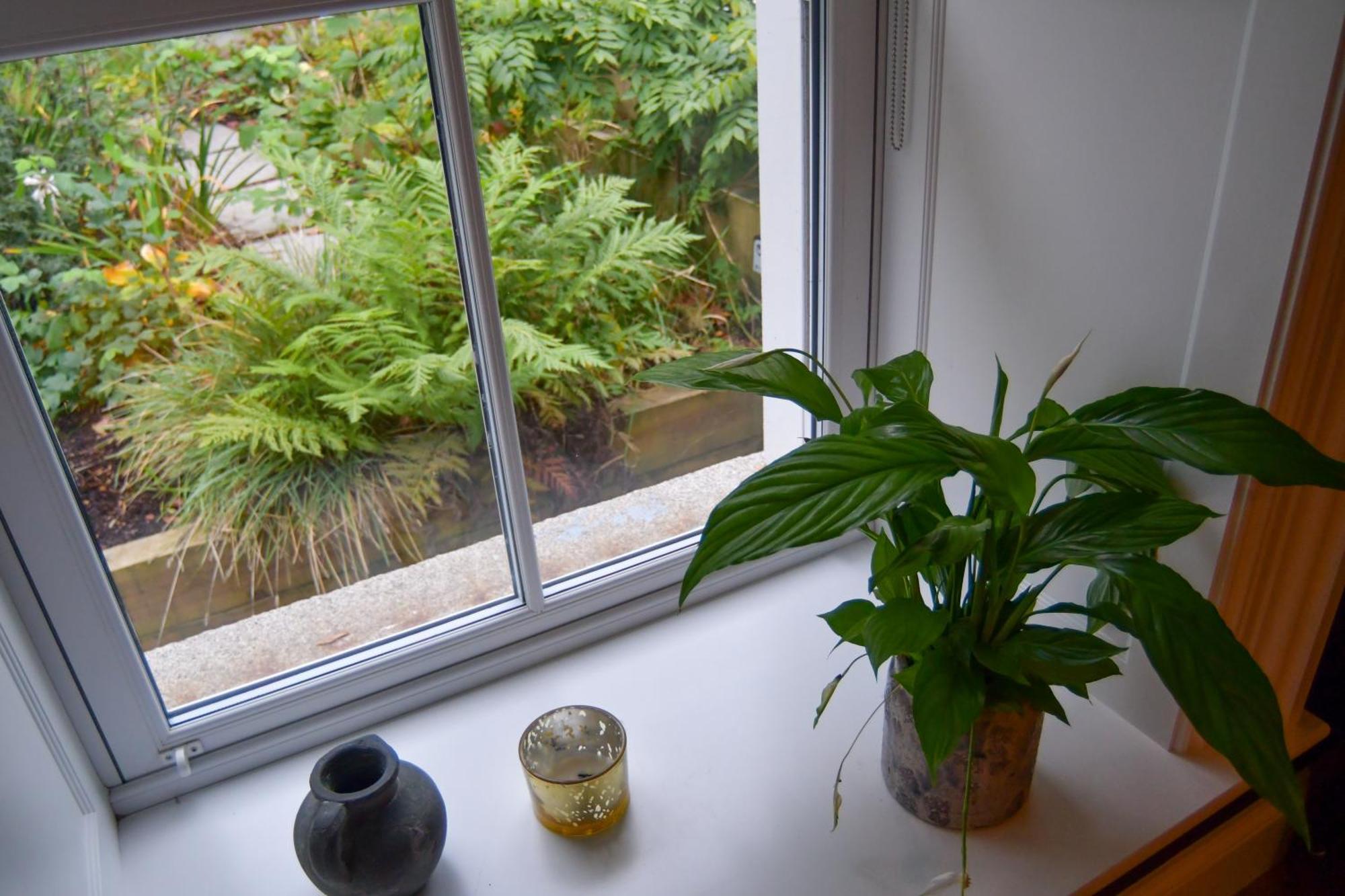 Luxury Croft Templepatrick Near Airport Rabbit And Hilton Hotel Extérieur photo